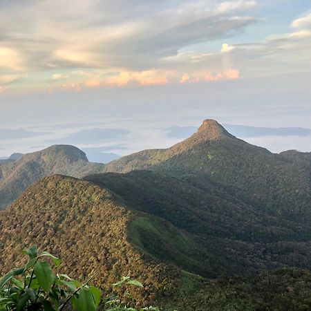 Hotel Mango Tree Nearest Adam'S Peak Nallathanniya Exterior foto